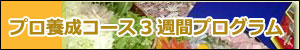 プロ養成コース