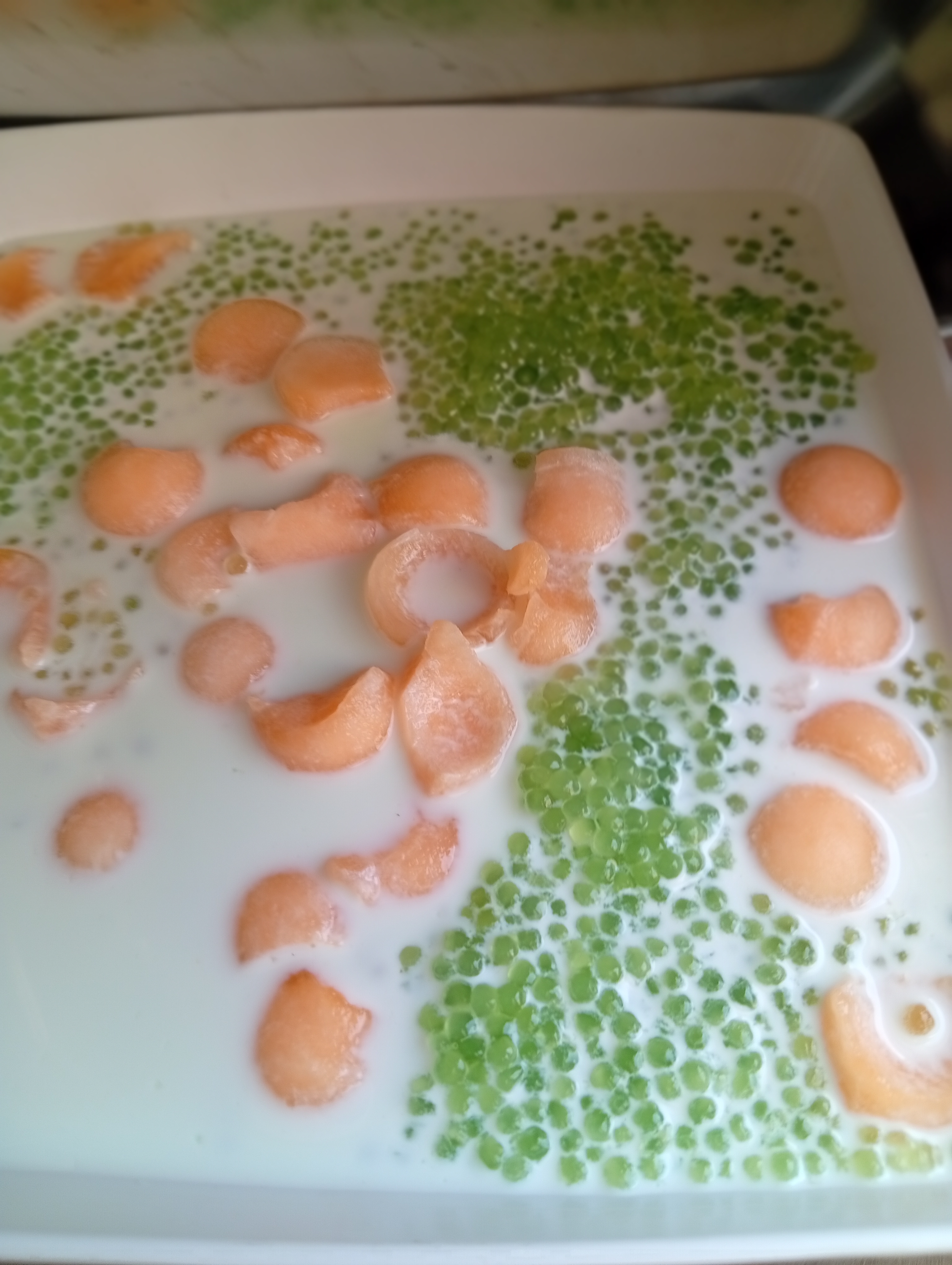 IMG_20260719_101216.jpg
