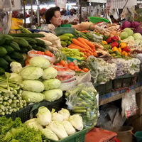 Market Training