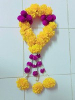 プロ養成コース1週間プログラム