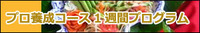 プロ養成コース
